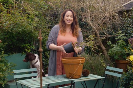 Vleermuizen in je tuin