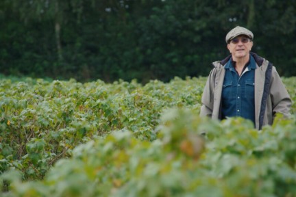 Alain bij de zwarte bessen