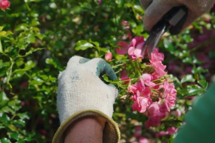In deze historische moestuin werken mensen met een visuele beperking