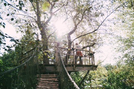 Boomhut walhalla Groningen