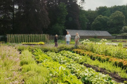 Een historische moestuin midden in de Bilt