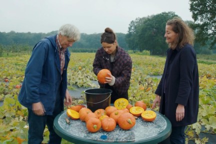 Biologische granola uit Brabant