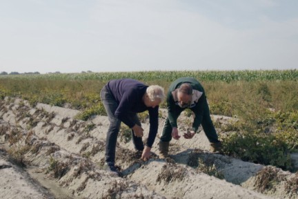 Aardappels Slootdorp