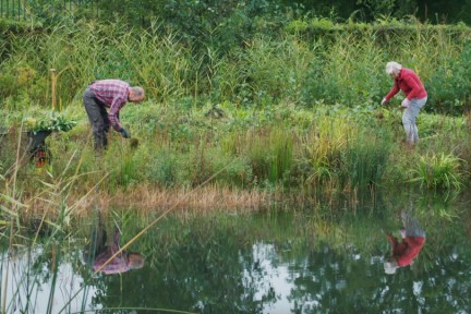 Buurtbewoners maken natuur