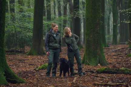 boswachter Marieke ontdekt het mystieke Speulderbos