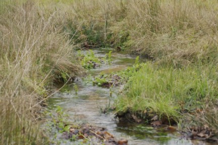 Het Springendal wordt de tuin van Nederland genoemd, maar lijdt onder hevige regenval. Boswachter Marieke maakt met collega Kees Jan een wandeling door het dal.