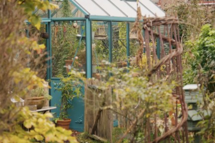 De bomen hebben hun blad verloren maar in de kas bloeit de Jasmijn alsof het nog zomer is! Duurzame tuinvrouw Anne vertelt hoe dat kan en hoe je zelf zonder tuin je eigen gember kan kweken.