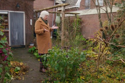 de Drentse Grietje op het lijf geschreven. Ze zet zich in voor een groenere planeet. Ze laat haar stadstuintje zien, haar sedum dak en vertelt wat de schoolkinderen kunnen in het tiny forest in het park.
