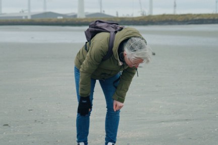 Natuurgidsen Digna en Hester wonen in Zeeland en zijn vaak op het strand. Door stromingen spoelen hier regelmatig fossielen en haaientanden aan. De dames weten hier alles over te vertellen en vinden regelmatig bijzondere fossielen!