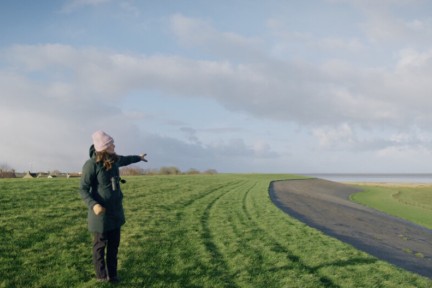 Vogelaar Camilla ziet de sneeuwgors in Paessens kwelder