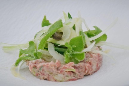 Rundersuccade met zilte plantjes “Terre et mer”