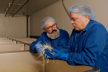 Ramon ontdekt de taugé van Eva’s familiebedrijf