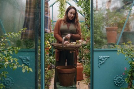 Anne begint met het zaaien van Lathyrus en het kweken van witlof