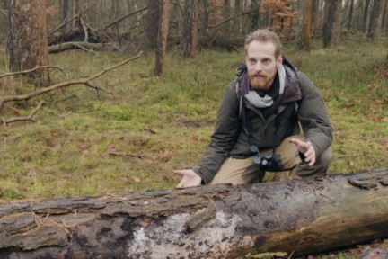 Rick heeft zijn hout het liefst dood. Dat is goed voor de kevertjes!
