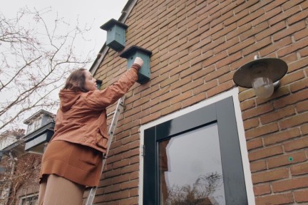 In de tuin van Anne Wieggers is het voorjaar begonnen