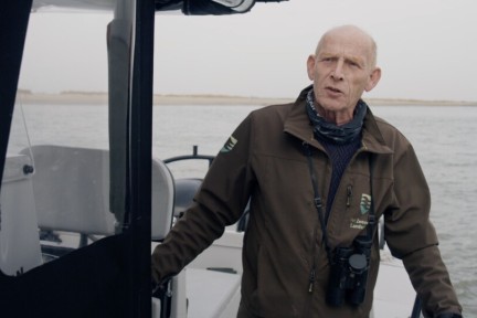 Broedgebieden en zeehonden in de Westerschelde