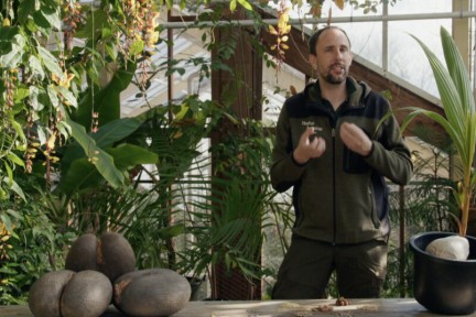 Rogier vertelt over de manieren voor planten om hun zaden te verspreiden