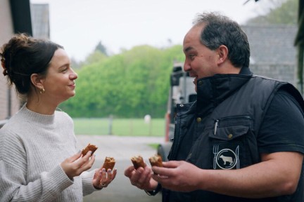 Rosah bekijkt de Charolais koeien van Sander in Lage Vuursche