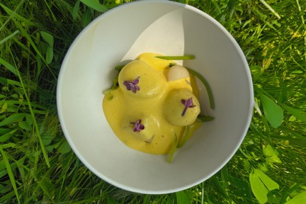 Coquilles st. Jacques van Leon Mazairac