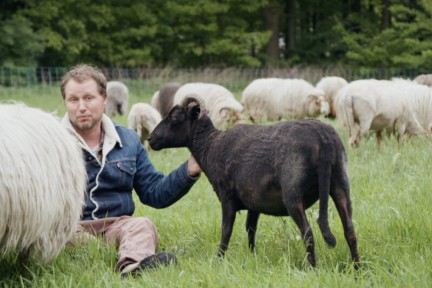 Schaapherder Daniel beheert landgoederen met zijn kudde