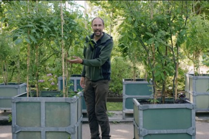 Rogier bij fruitbomen