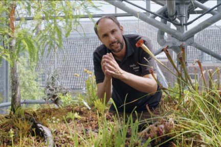 Rogier in Hortus Botanicus in Leiden