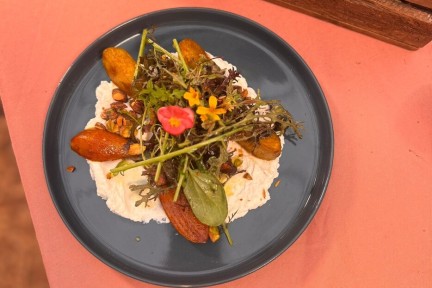 Geklopte bietjes met ricotta