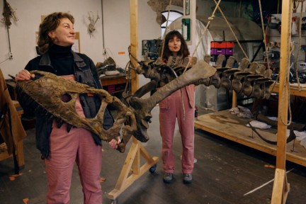 oud materiaal dino’s en prepareren ze fossielen voor musea en particulieren