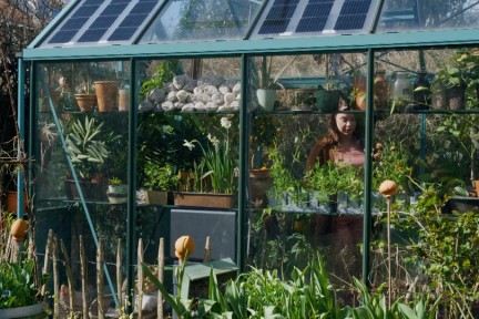 Anne Wiegers tuin
