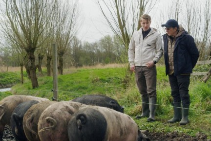 Stijn houdt Berkshire varkens
