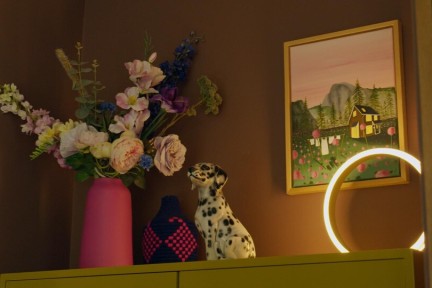 roze huis