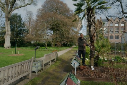 Planten Rogier