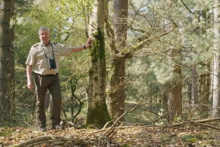 Wildleven op De Hoge Veluwe