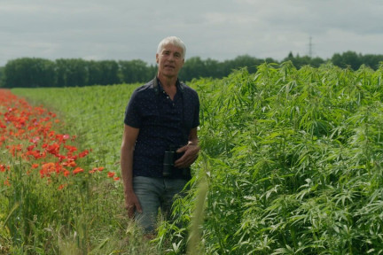 Klaprozen