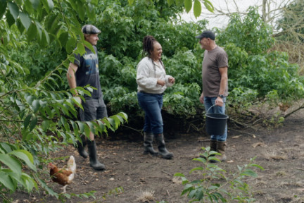 Sharon bij biodynamisch pluimveebedrijf