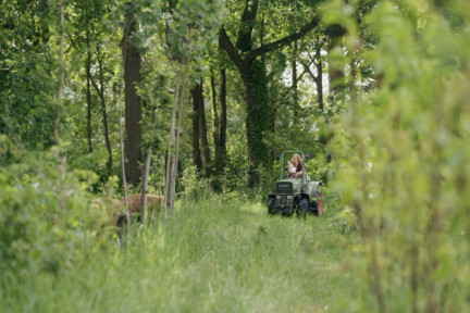 Jade en hond op tractor