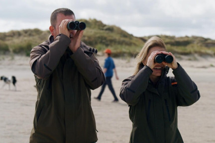 De nazomer op Texel