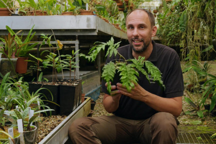 Planten met bijzondere krachten in de Hortus