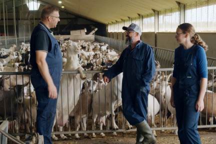 Geitenboerderij Leusden