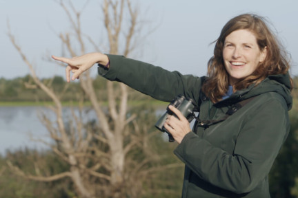 Lepelaars en kluten Oostvaardersplassen