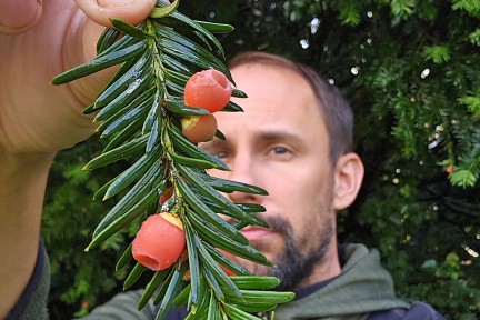 Medicinale planten met Rogier van Vugt