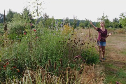 Van voormalig maisveld naar kleurrijke tuin