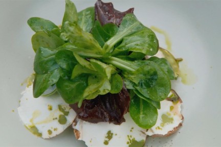 Frisse salade met verse veldsla en asperges