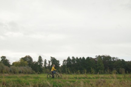 Voedselbos