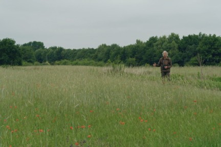 Roel tovert zijn akkers om in een natuurparadijs voor flora en fauna
