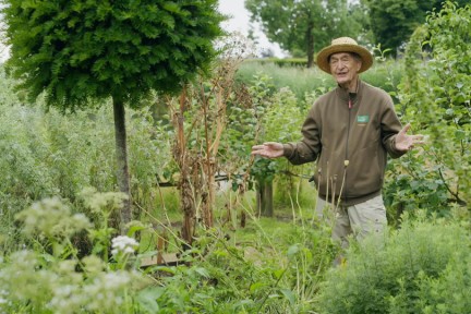 De moestuin van kasteel Ammersoyen