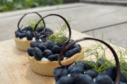 Dessert met honingbes