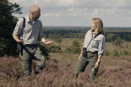 Sallandse heide