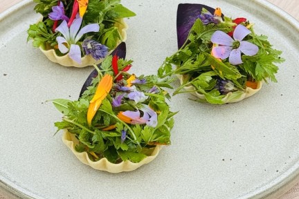 Krokante tartelette met noten-tofucrème en kruiden