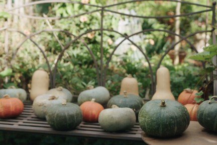 Pompoenen